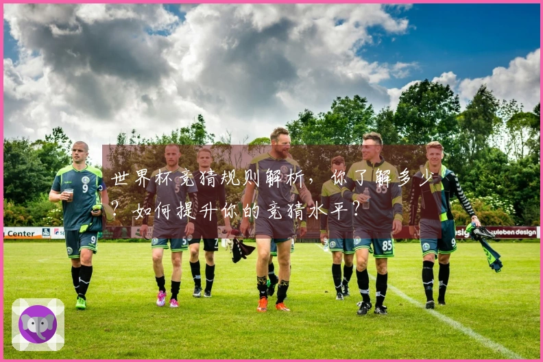 世界杯竞猜规则解析，你了解多少？如何提升你的竞猜水平？