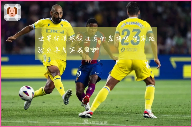 世界杯滚球投注真的靠谱吗 玩家经验分享与实战分析