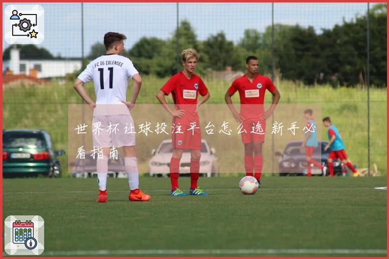 世界杯让球投注平台怎么选 新手必看指南